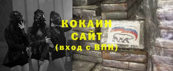 индика Нязепетровск