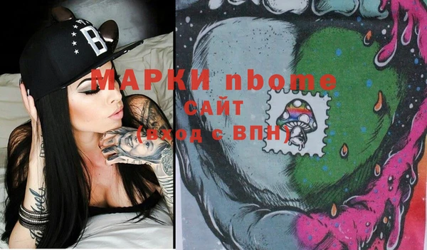 индика Нязепетровск
