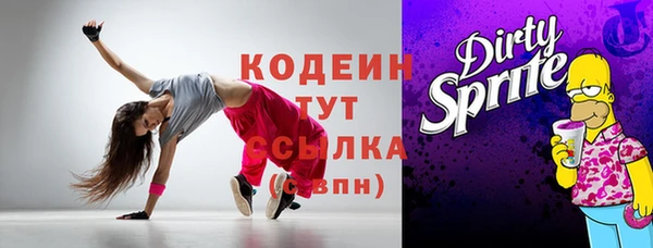 индика Нязепетровск