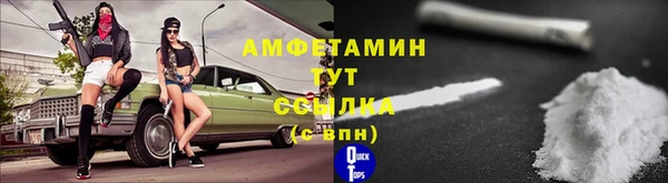 индика Нязепетровск