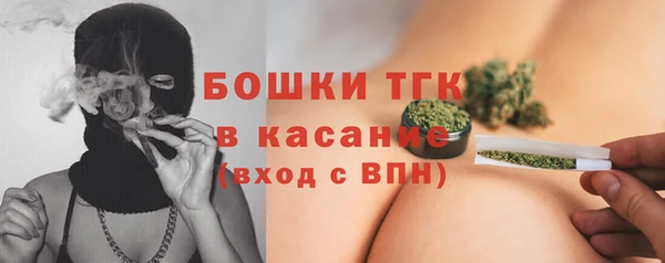 амф Няндома