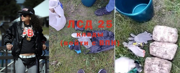 индика Нязепетровск