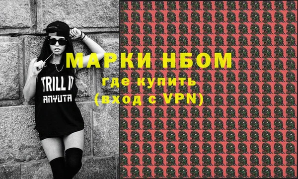индика Нязепетровск
