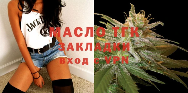 индика Нязепетровск