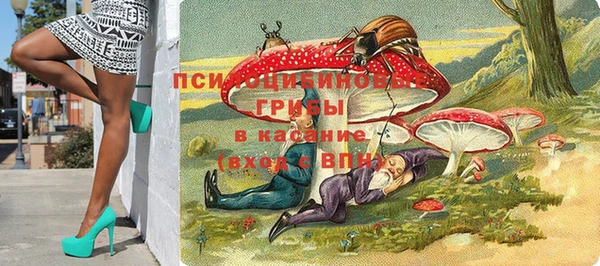 амф Няндома