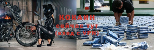 бошки Новозыбков