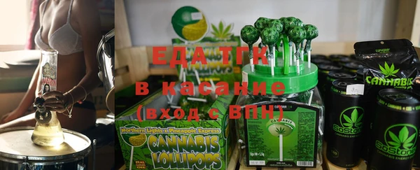 индика Нязепетровск